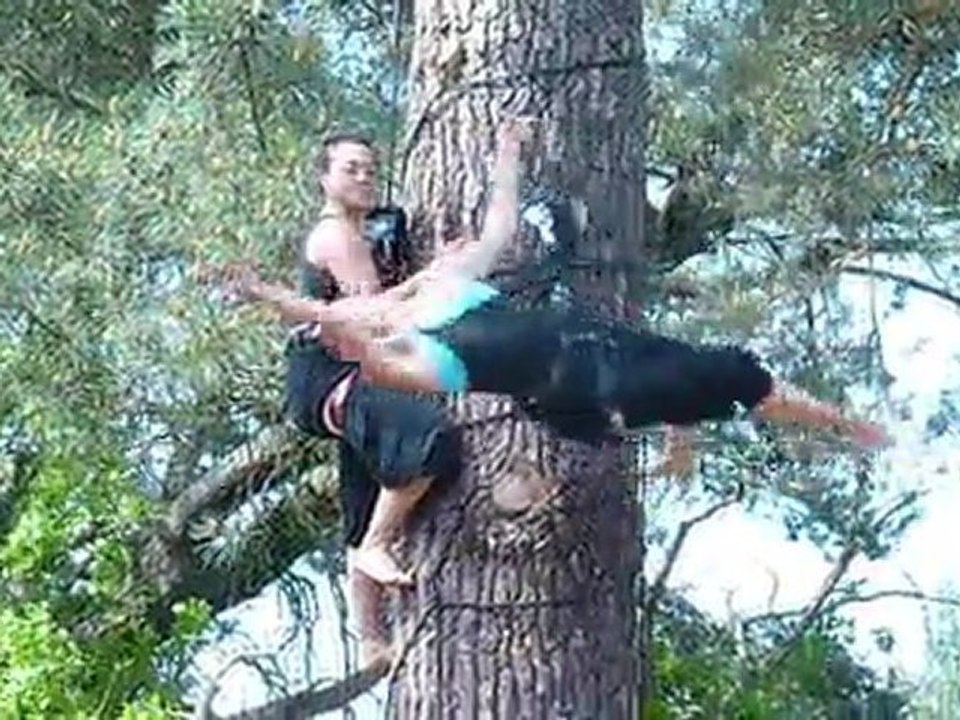7 mai 2011 DANSE DANS LES ARBRES