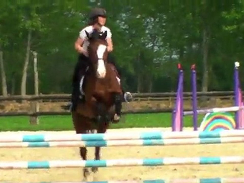 L'Equitation...... Une Passion