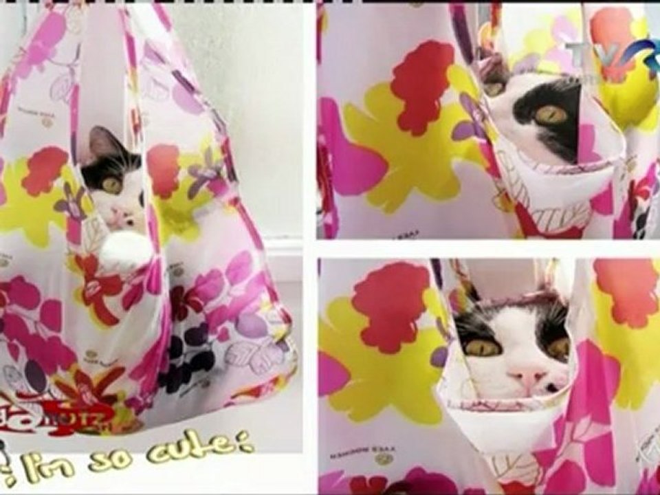 Horia Brenciu  - La Dan Bitman(8.Mai.2011) (2)