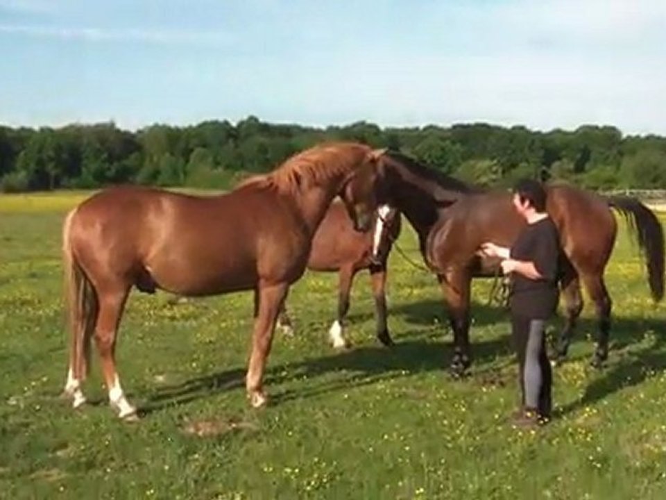 07.05.2011.Deuxième séance de douche pour Tiloa (f)