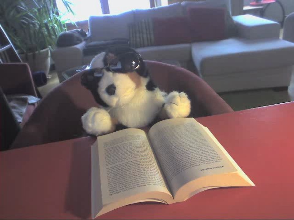 Lectomaton Iessid 1BD 2010/2011 Julien Ronvaux Qui a tué Glenn? Leonie Swann