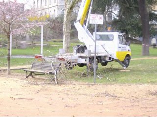 Rive de Gier Divers Mars 2011 élagage et travaux en hauteur