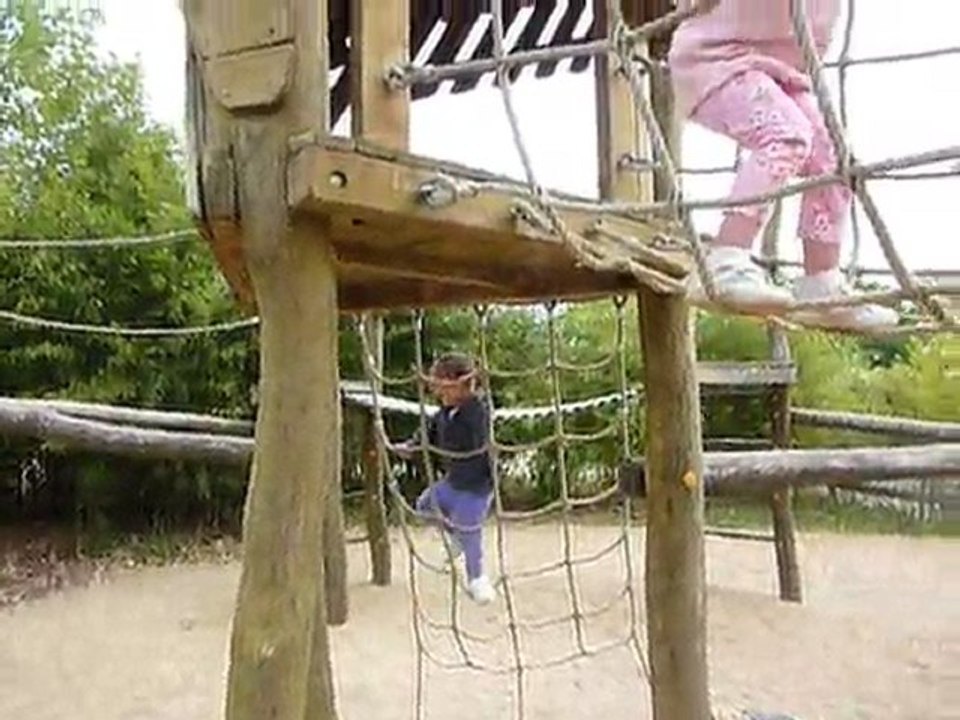 Avril 2011 Vallée singes singes arbres jeux