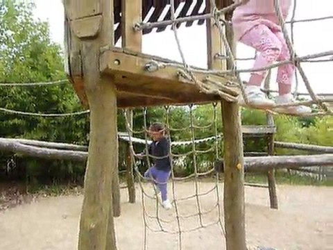 Avril 2011 Vallée singes singes arbres jeux