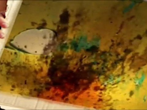 emission 4 webtv Festival Troyes Premières marches 13ème édition 2011