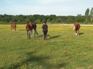 07.05.2011.Deuxième séance douche pour Tiloa (e)
