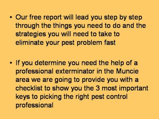 Pest Control Muncie | Muncie Pest Control