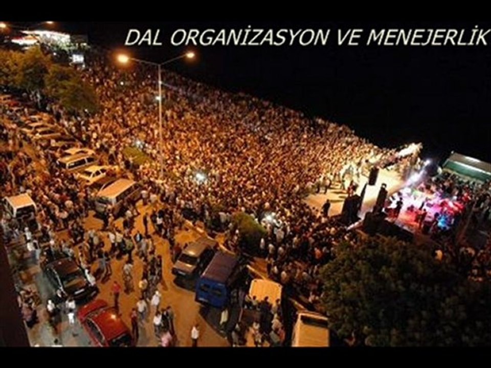 dal organizasyon