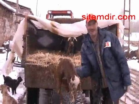 Sivas Mayıs 7 Kar Yağdı