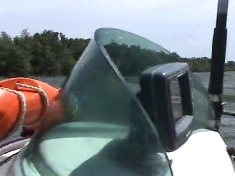 Silure Club Rhodanien : Initiation pêche au silure pour la Fédération de pêche de l'Ardèche