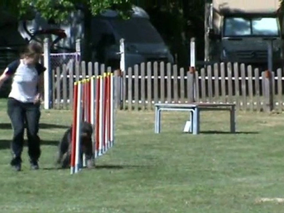 Echo  1er degré Le Subdray 05