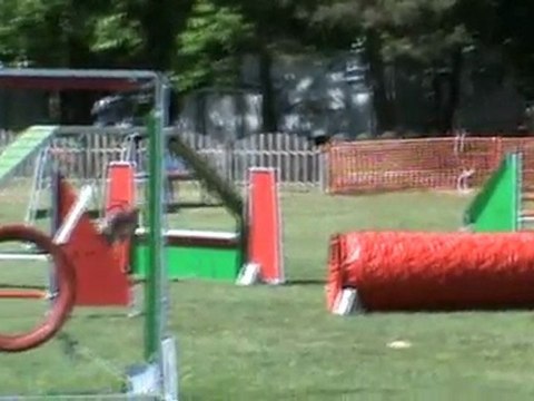 Baïla 2è degré Le Subdray 05