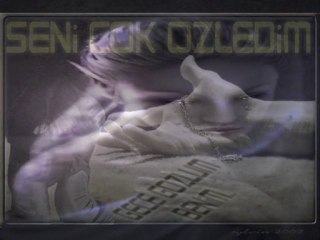 Alp Zey Kal Dedim ( www.dostlarmekani.de )