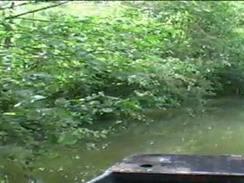 Marais Poitevin : Arçais et ses chemins d'eau.