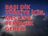 Başı Dik Türkiye İçin Meclis'e Perinçek Gerek!