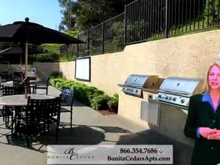 Bonita Apartments for Rent Bonita Cedars, Bonita CA Features