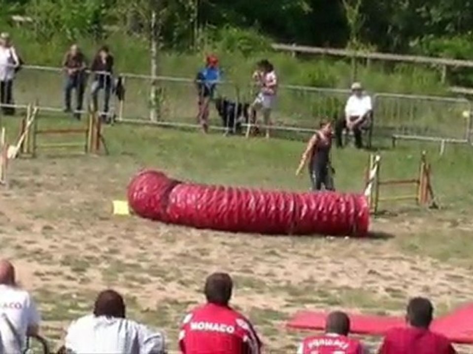 Buck Championnat Régional Agility Sospel  08/05/11