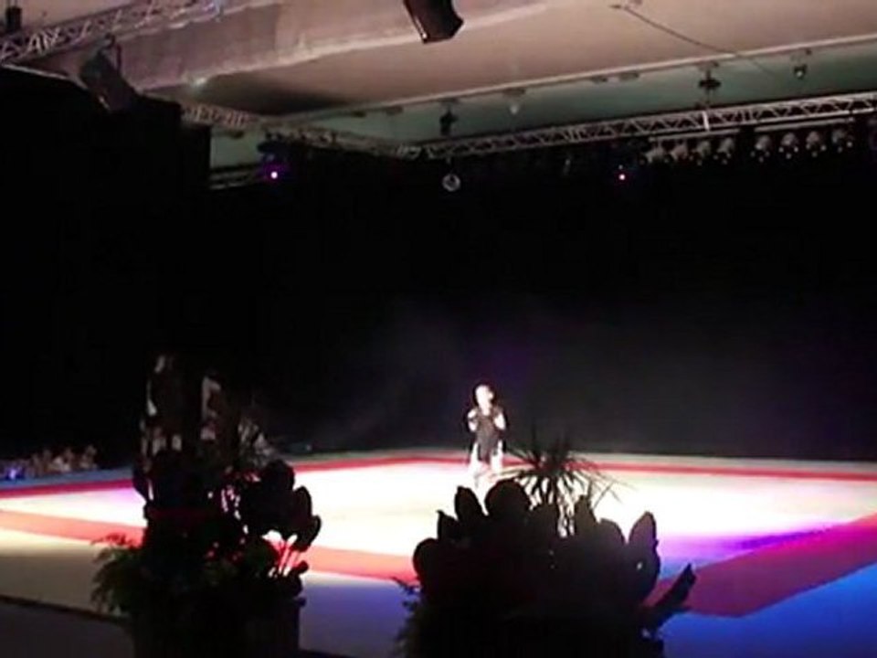 10ème Nuit des Arts Martiaux de Guyancourt - Participation du Boxing Art 78 - 2011