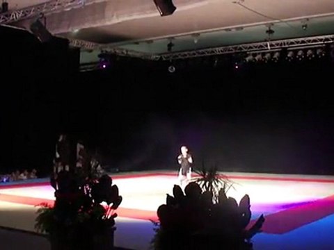 10ème Nuit des Arts Martiaux de Guyancourt - Participation du Boxing Art 78 - 2011