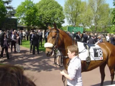 Dimanche au galop du dimanche 17 avril 2011 à l'hippodrome d'auteuil