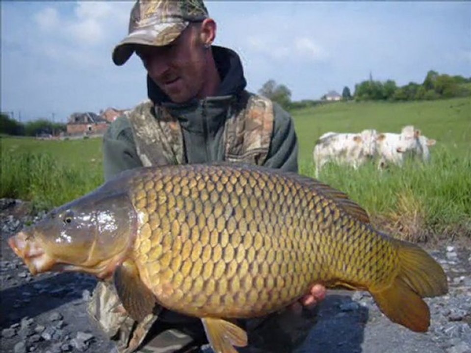année 2010 ..... carpvador !!!