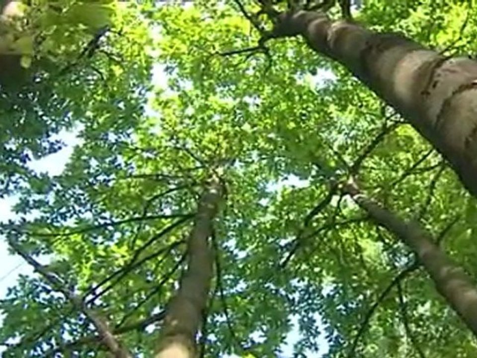 1 min pour le dire  22 mai