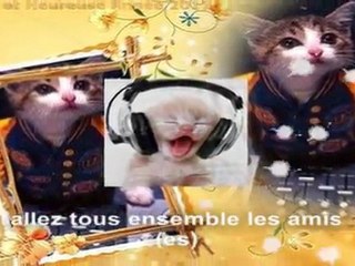 David Guetta in the Spotlight 🎧