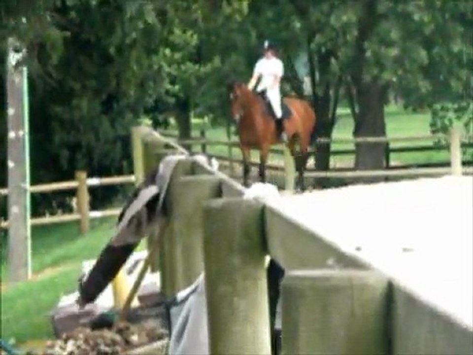 Reprise de dressage galop 7