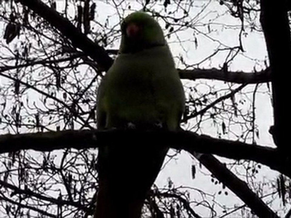 HUH?