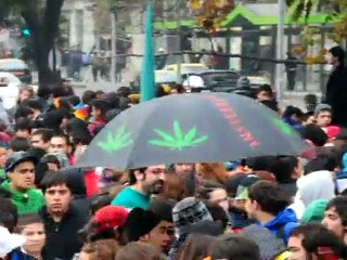 Chilenos piden legalizar la marihuana