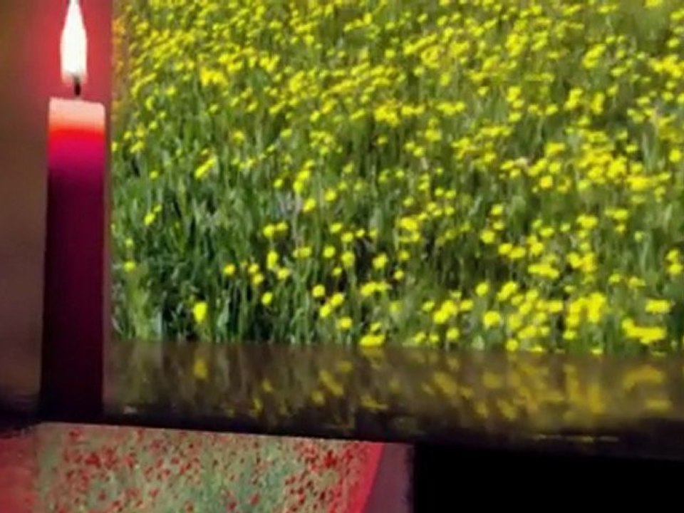 Mehmet TOPÇU yeşil ördek gibi daldım göllere