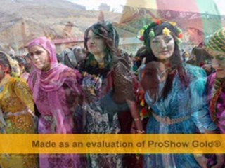 Orhan Özel 2011 Halay Delilo