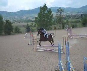 Quouki club 3 en licol