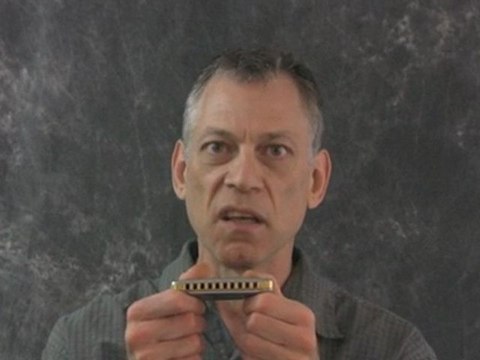 Sally Goodin - Harmonica Lesson - Sandy Weltman