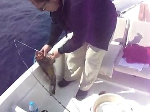 Jigging ile Lagos Avı - adrasanbalik.com