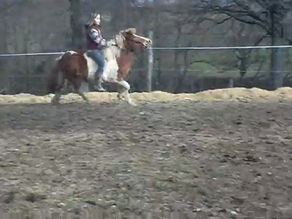 PISTACHE et MOI 2