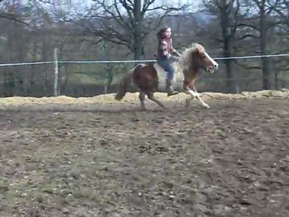 PISTACHE et MOI 3