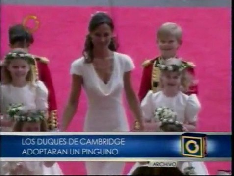 Los Duques de Cambridge adoptan un Pinguino