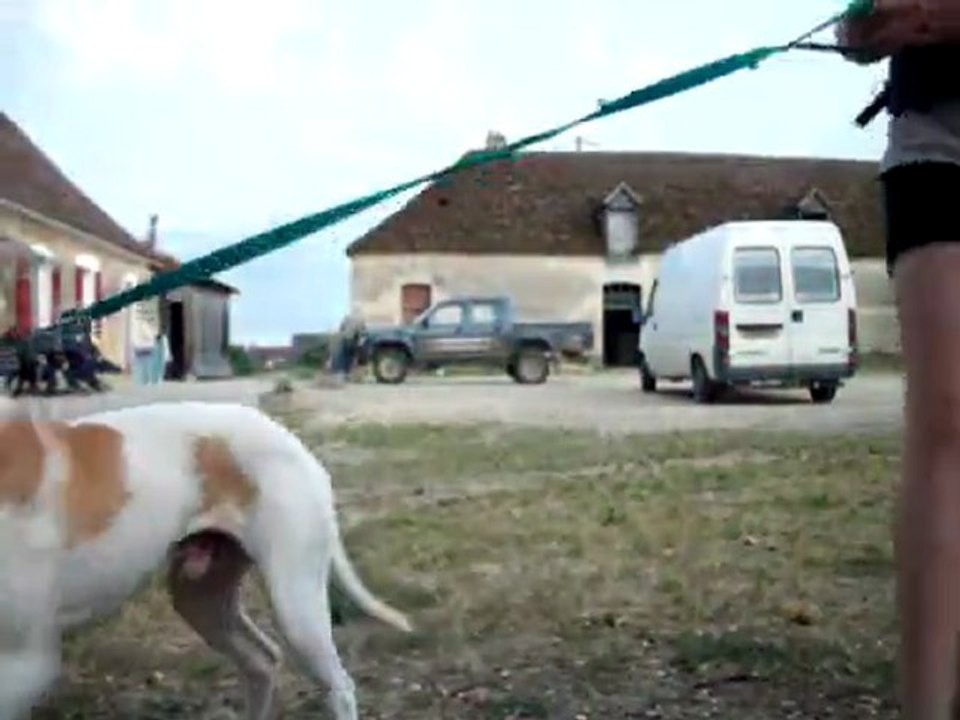 Entrainement pour mon petit faulo