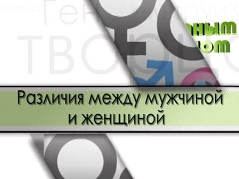 Различия между мужчиной и женщиной