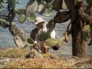 Darwin - The Voyage That Shook the World