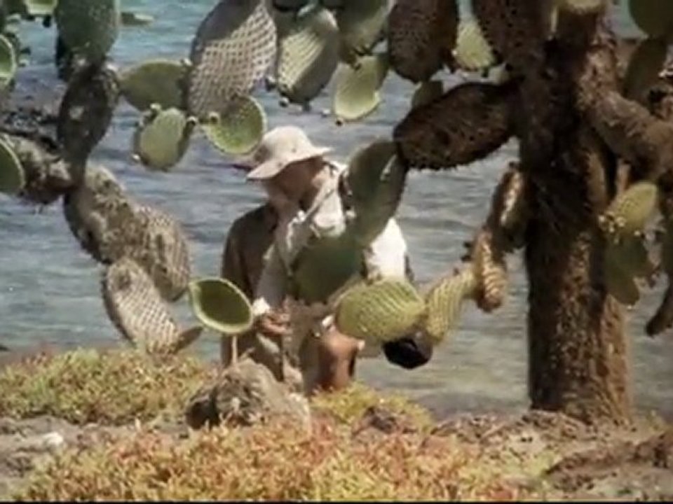 Darwin - The Voyage That Shook the World