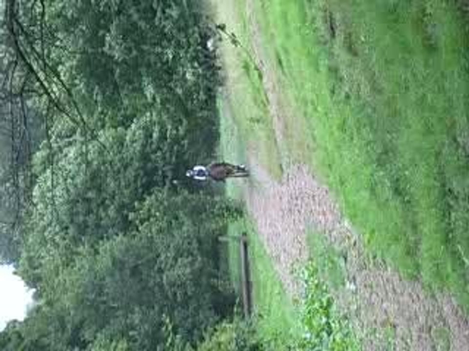 cross
