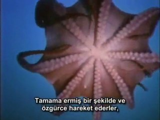 Earthlings-Dünyalılar Belgeseli 1.Bölüm (Türkçe  altyazılı)