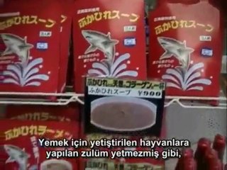 Earthlings-Dünyalılar Belgeseli 3.Bölüm (Türkçe altyazılı)