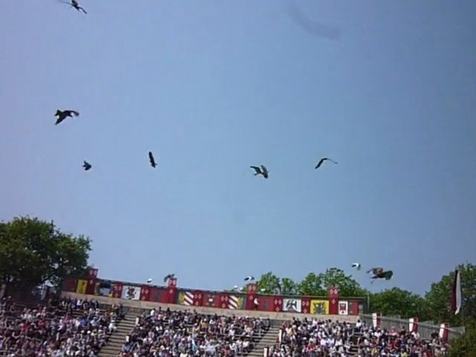 Puy du fou - La bal des oiseaux fantômes