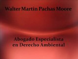 walter martin pachas moore