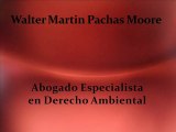 walter martin pachas moore