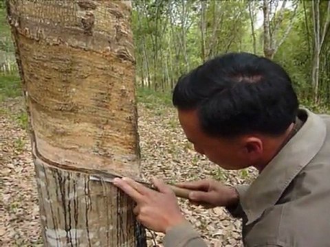 Arabic-Web-Cultivateurs de pavot cherchent de nouveaux revenus