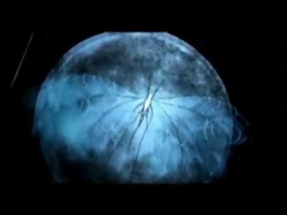 Pink Floyd, Richard Wright   Pink's Song